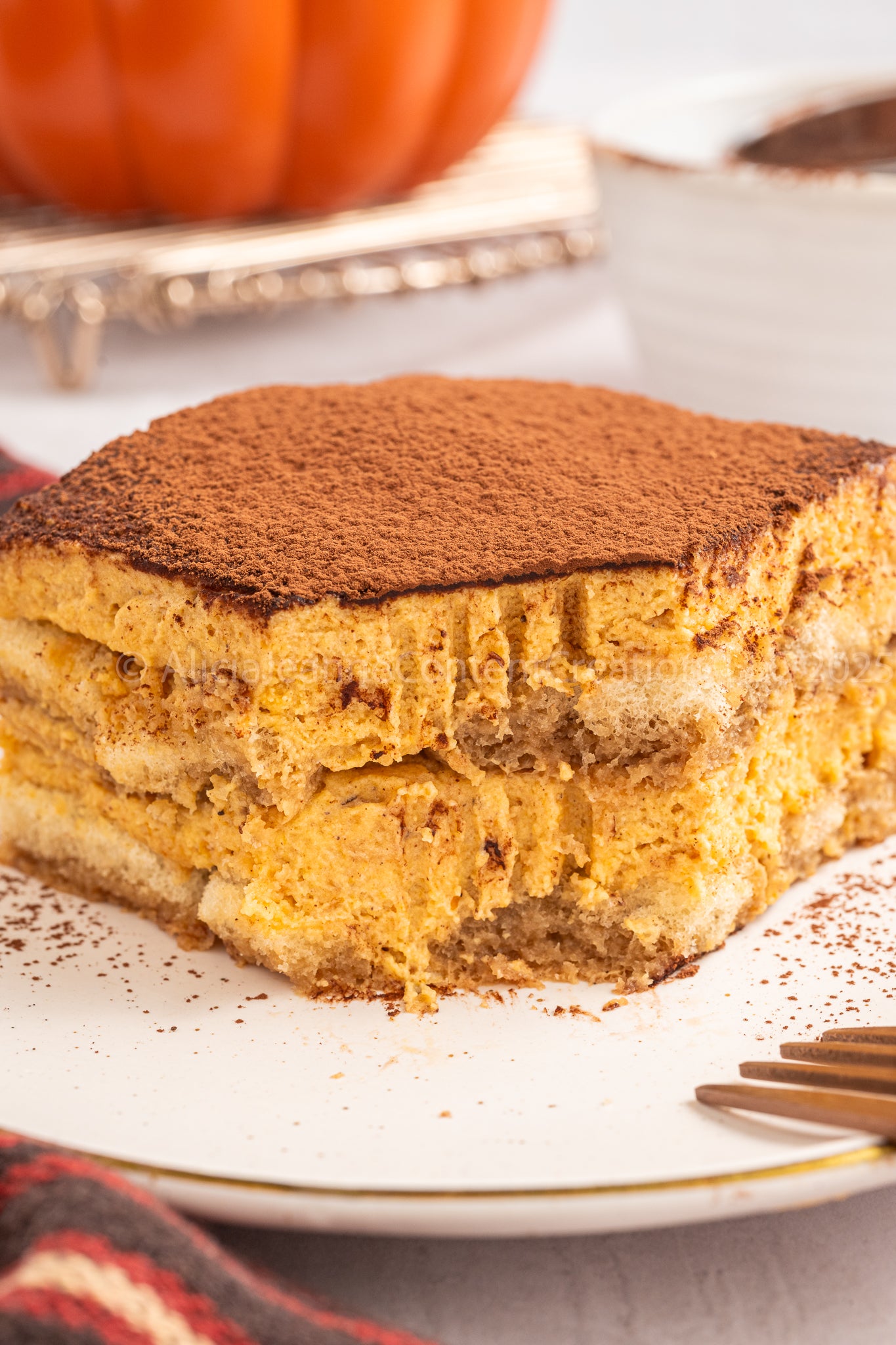 Pumpkin Tiramisu - *EXCLUSIVE*