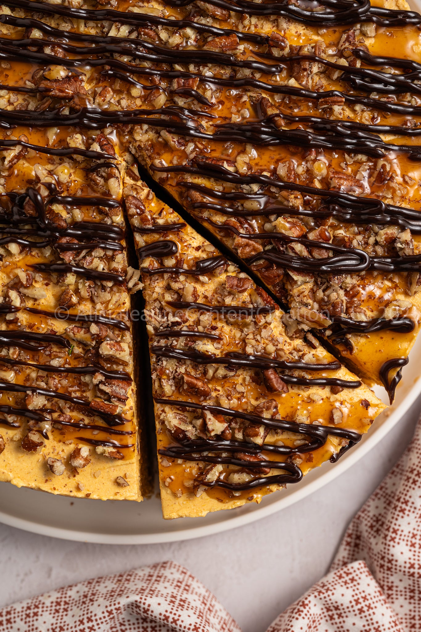 Pumpkin Turtle Cheesecake - *EXCLUSIVE*