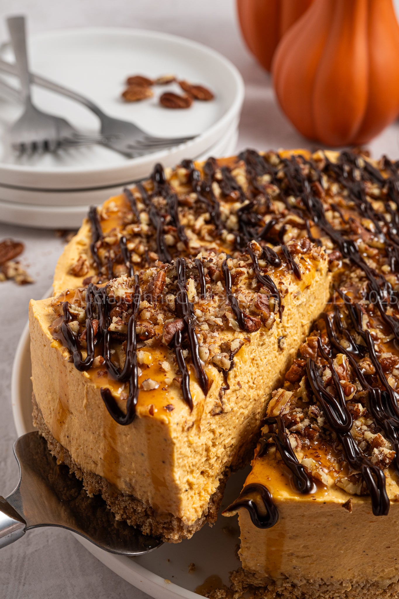Pumpkin Turtle Cheesecake - *EXCLUSIVE*