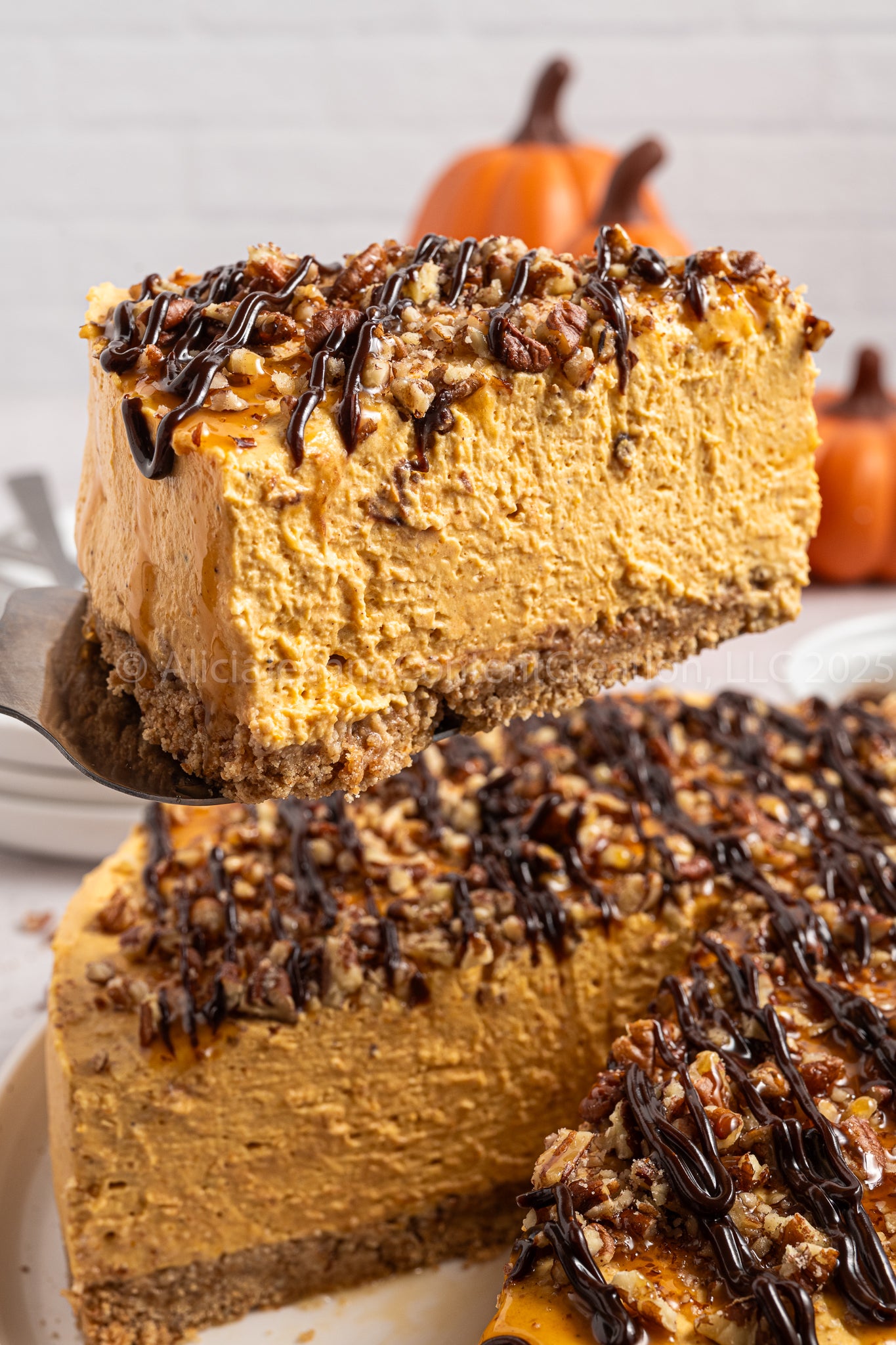 Pumpkin Turtle Cheesecake - *EXCLUSIVE*