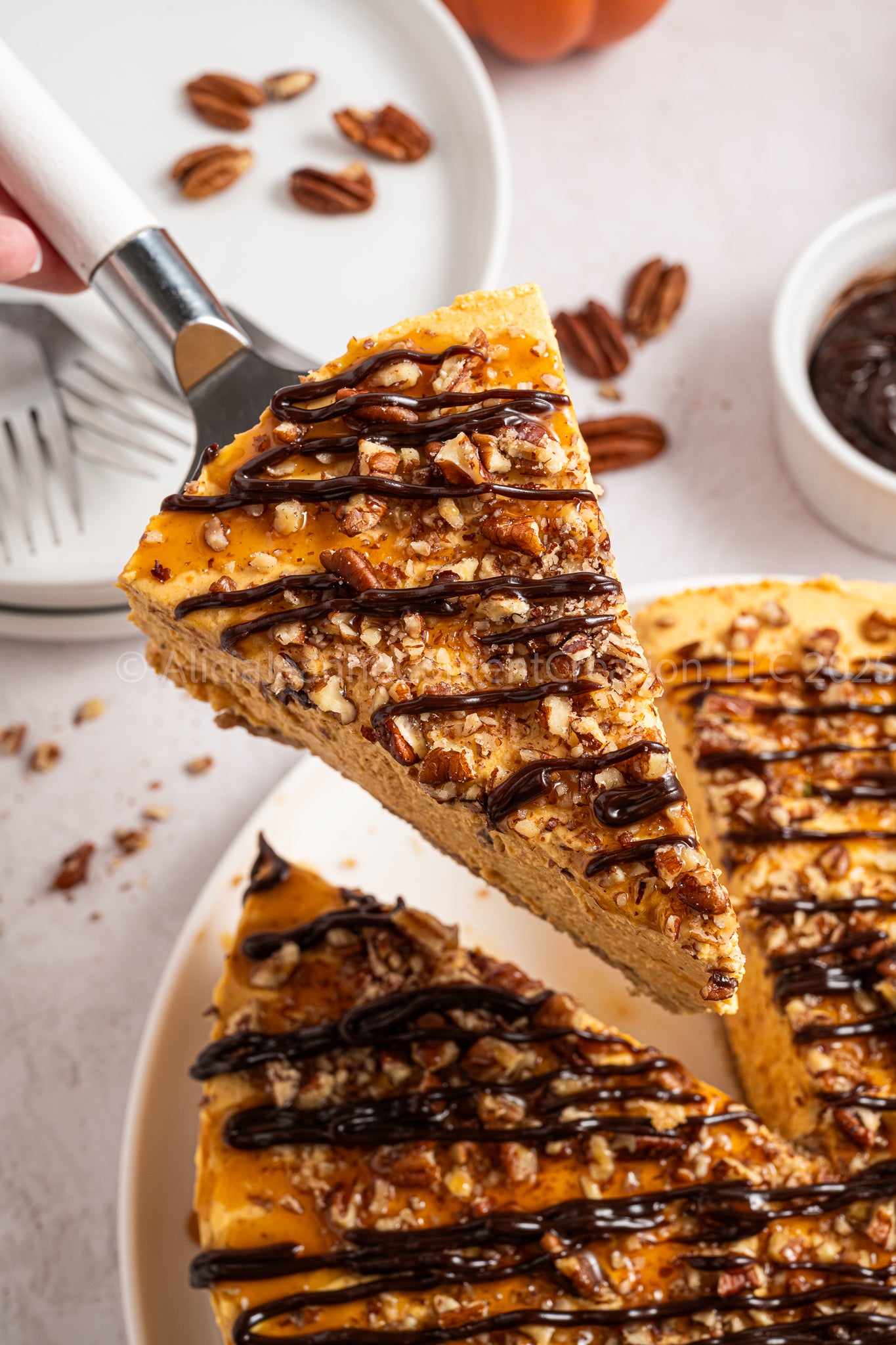 Pumpkin Turtle Cheesecake - *EXCLUSIVE*