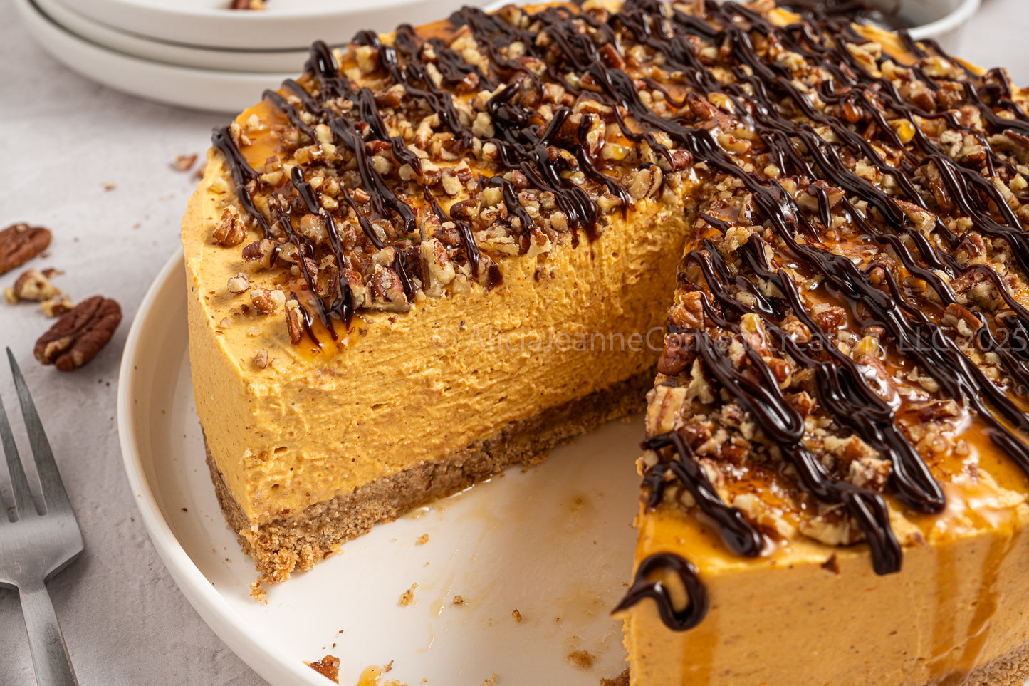 Pumpkin Turtle Cheesecake - *EXCLUSIVE*