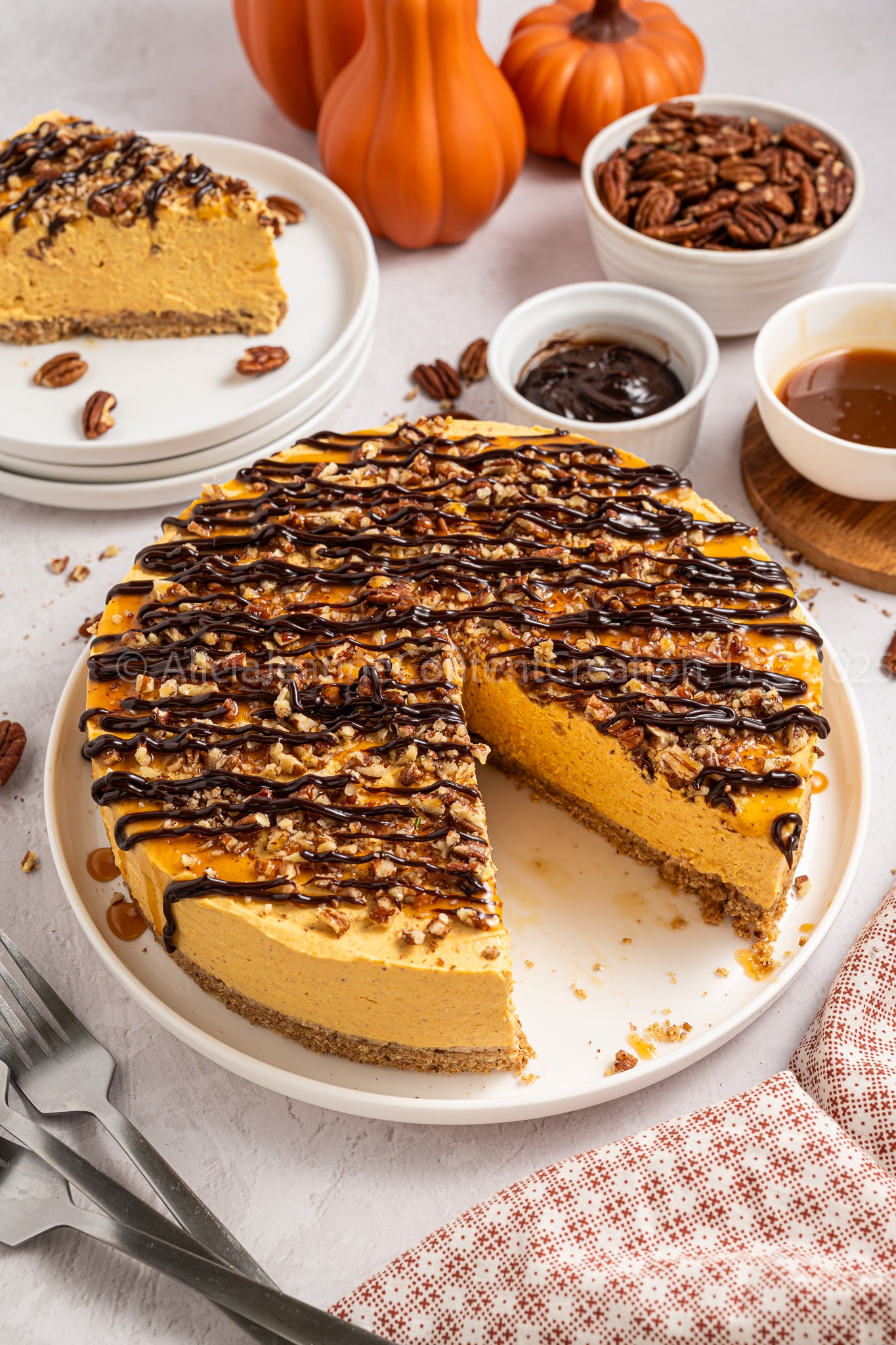 Pumpkin Turtle Cheesecake - *EXCLUSIVE*