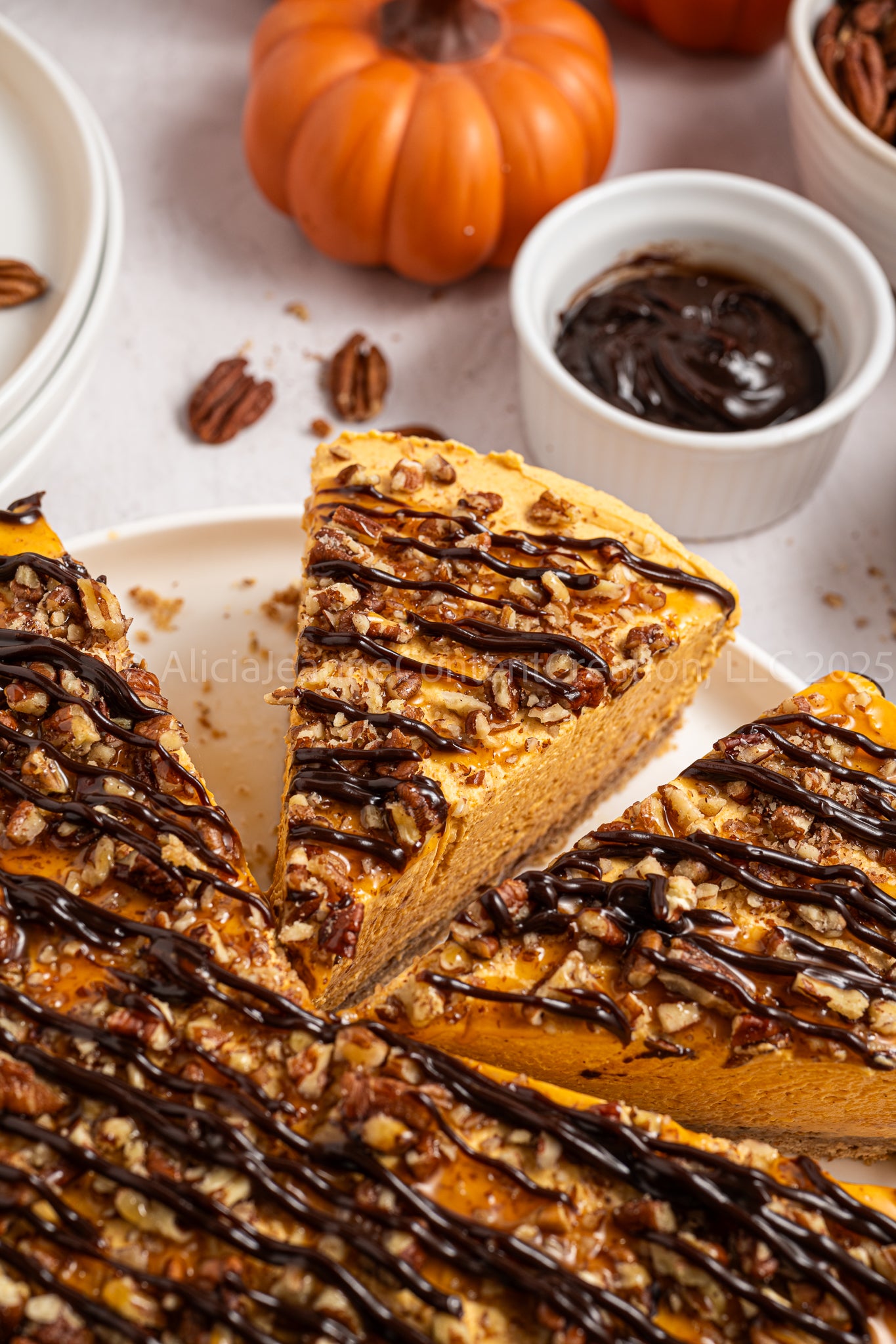 Pumpkin Turtle Cheesecake - *EXCLUSIVE*