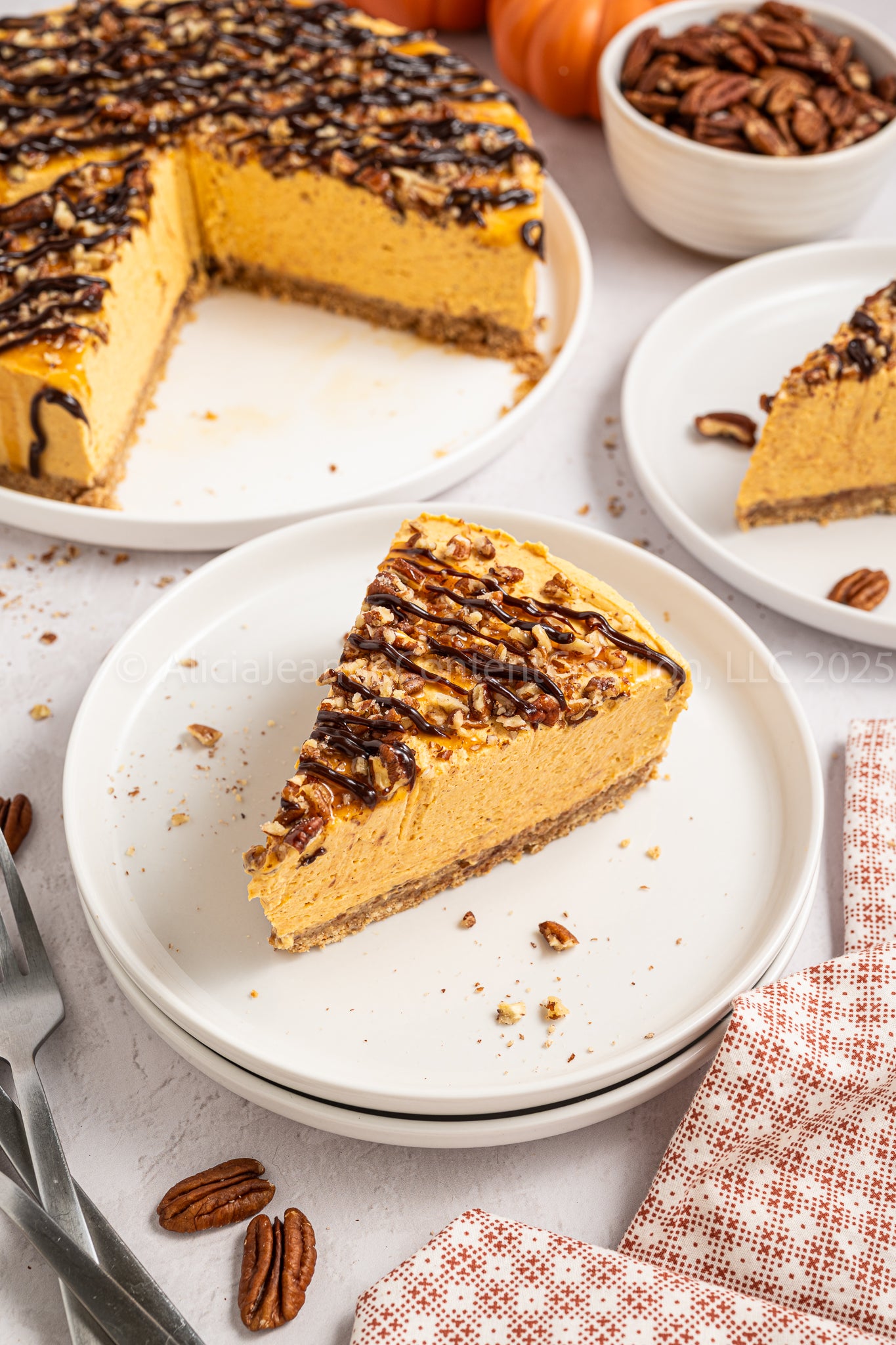 Pumpkin Turtle Cheesecake - *EXCLUSIVE*