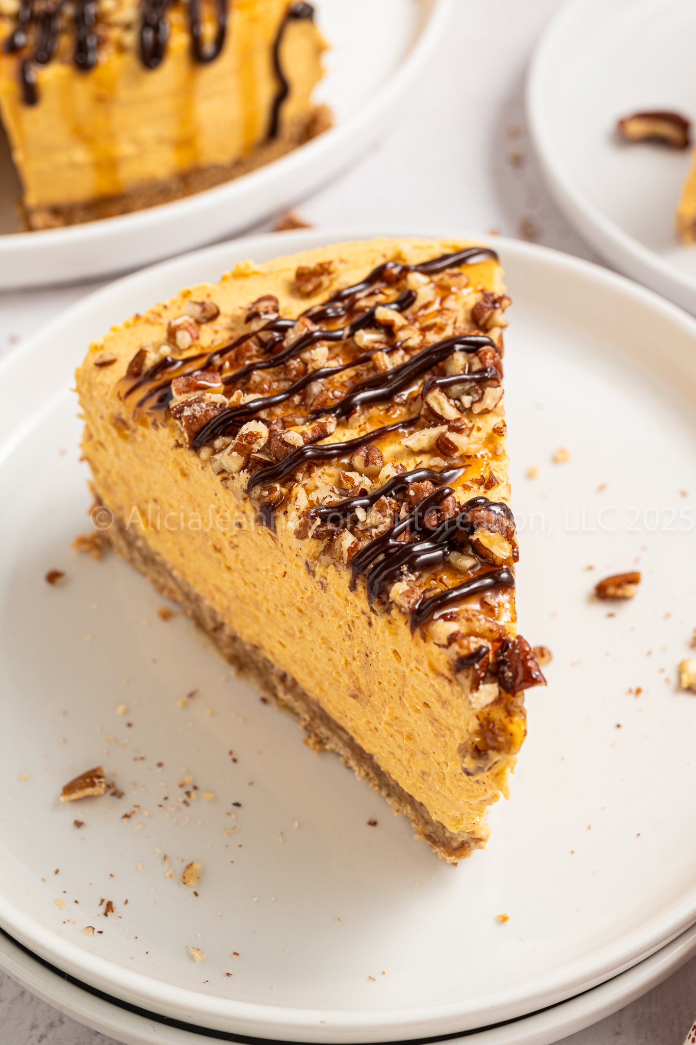 Pumpkin Turtle Cheesecake - *EXCLUSIVE*