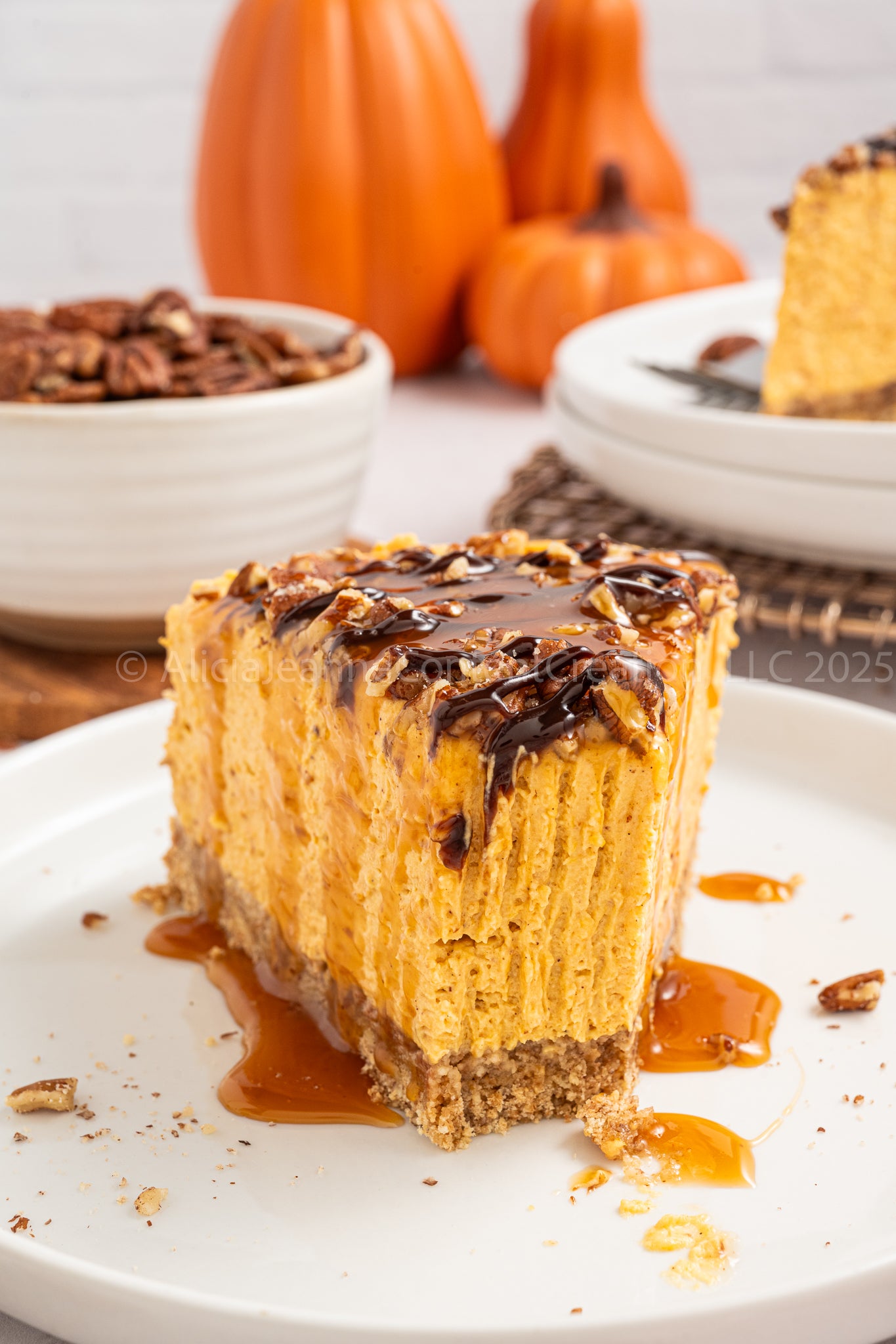 Pumpkin Turtle Cheesecake - *EXCLUSIVE*