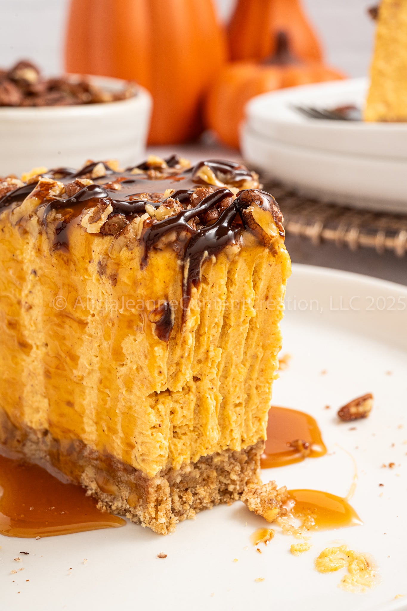 Pumpkin Turtle Cheesecake - *EXCLUSIVE*