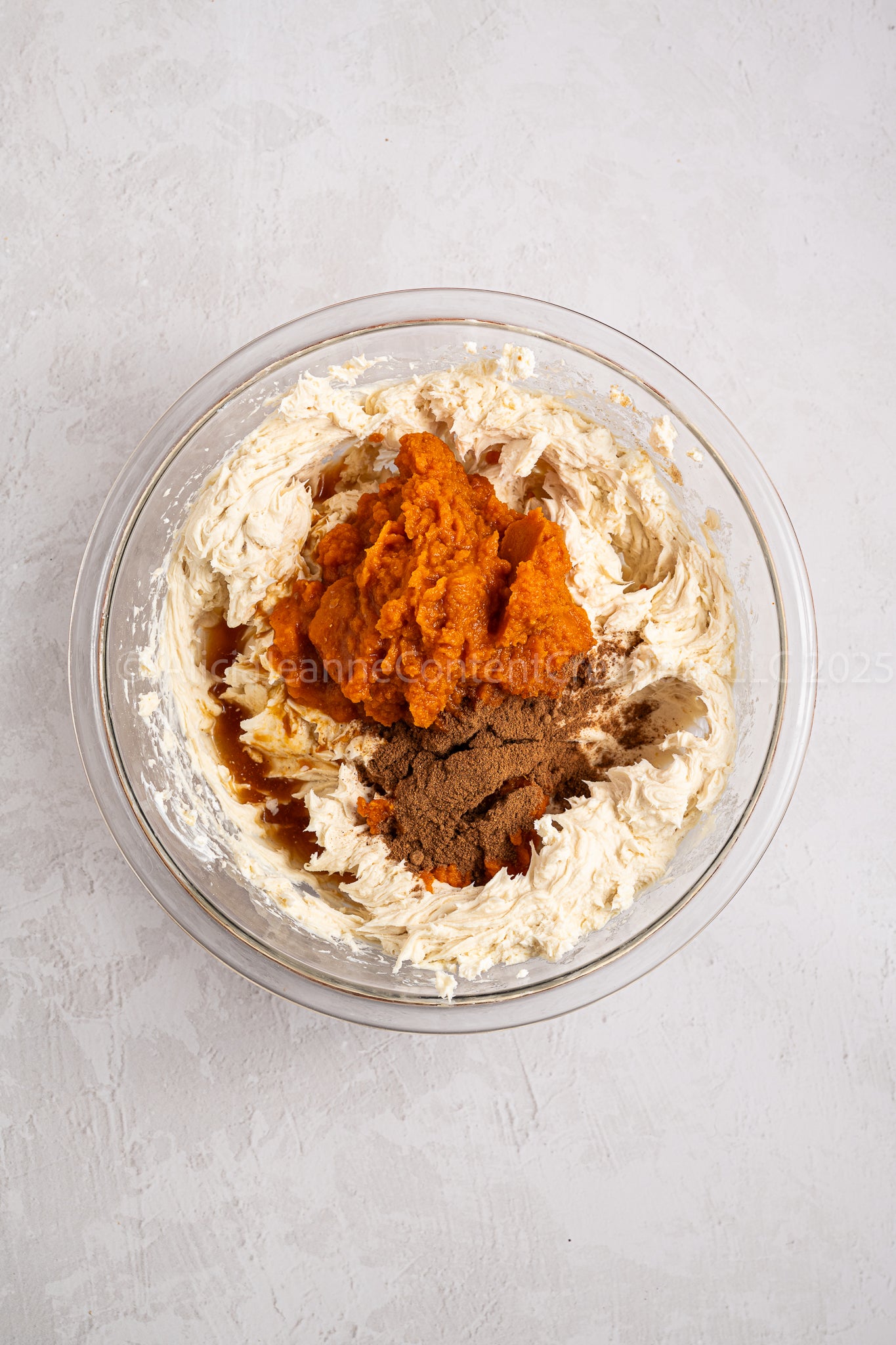 Pumpkin Turtle Cheesecake - *EXCLUSIVE*