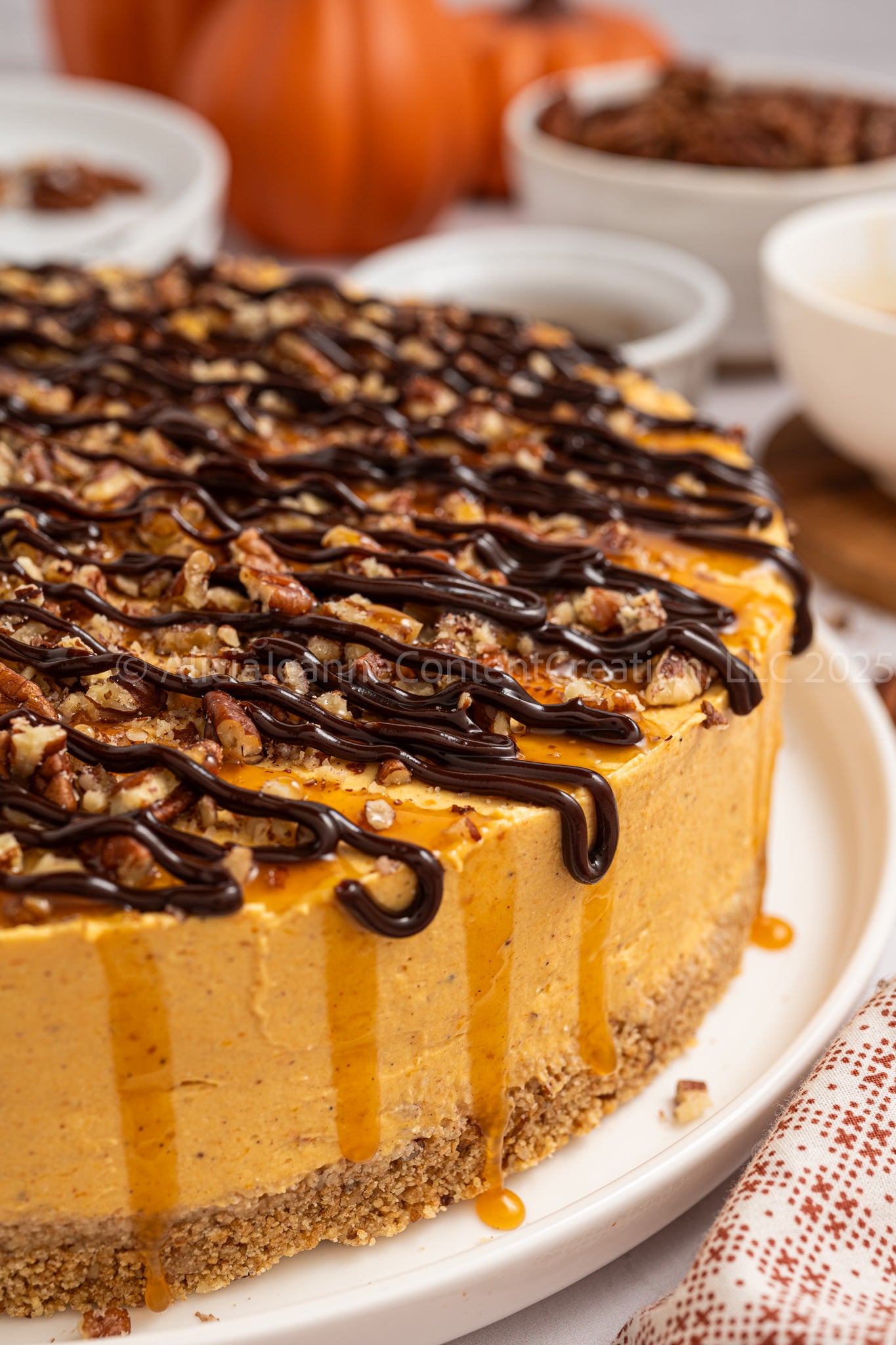 Pumpkin Turtle Cheesecake - *EXCLUSIVE*