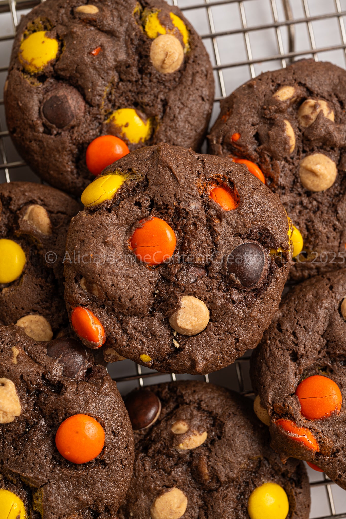 Reese's Pieces Cake Mix Cookies - *MINI EXCLUSIVE*