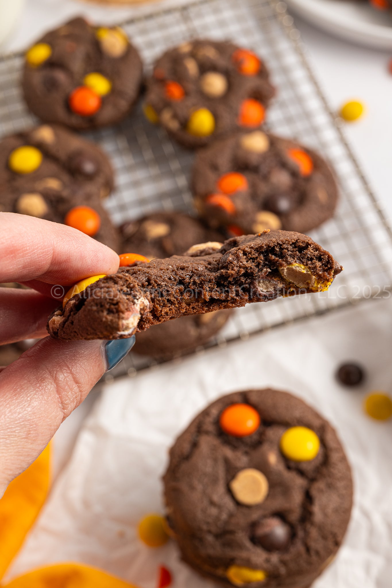 Reese's Pieces Cake Mix Cookies - *MINI EXCLUSIVE*