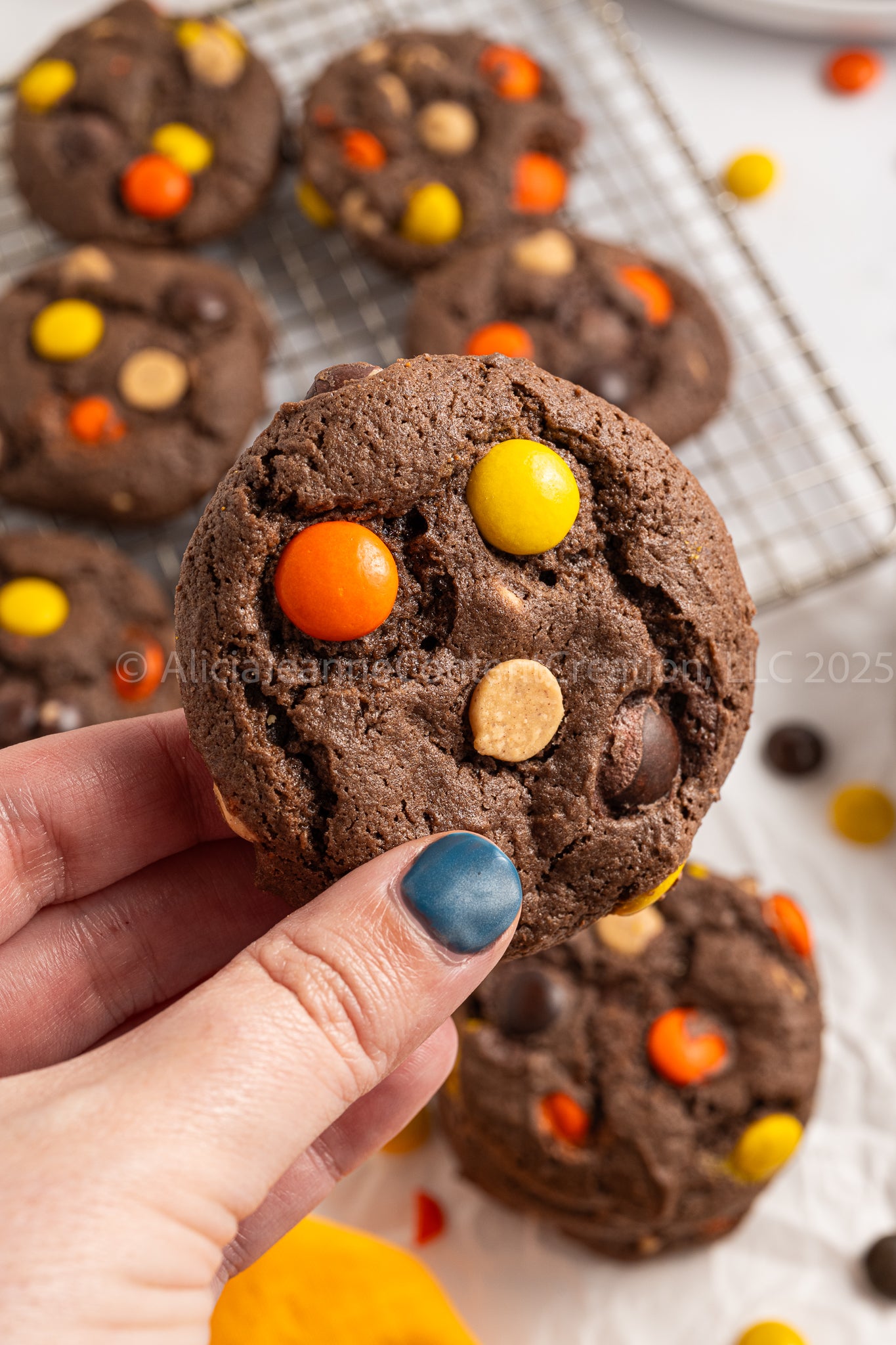 Reese's Pieces Cake Mix Cookies - *MINI EXCLUSIVE*