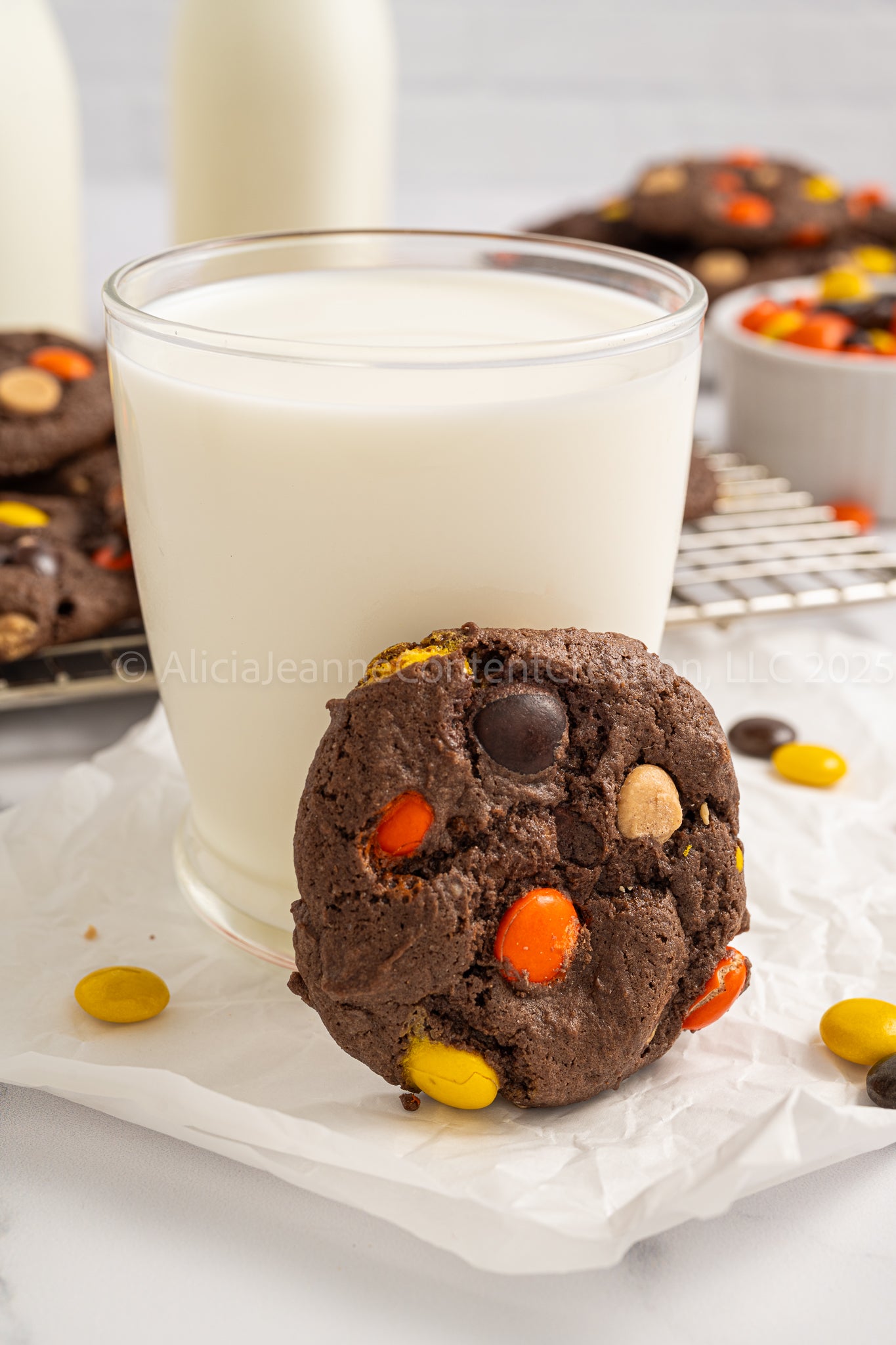 Reese's Pieces Cake Mix Cookies - *MINI EXCLUSIVE*