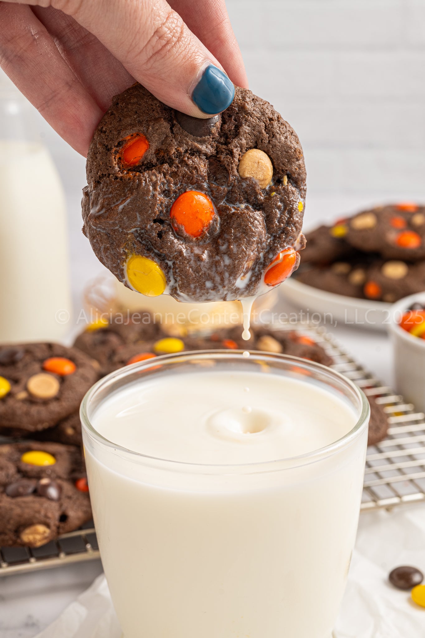 Reese's Pieces Cake Mix Cookies - *MINI EXCLUSIVE*