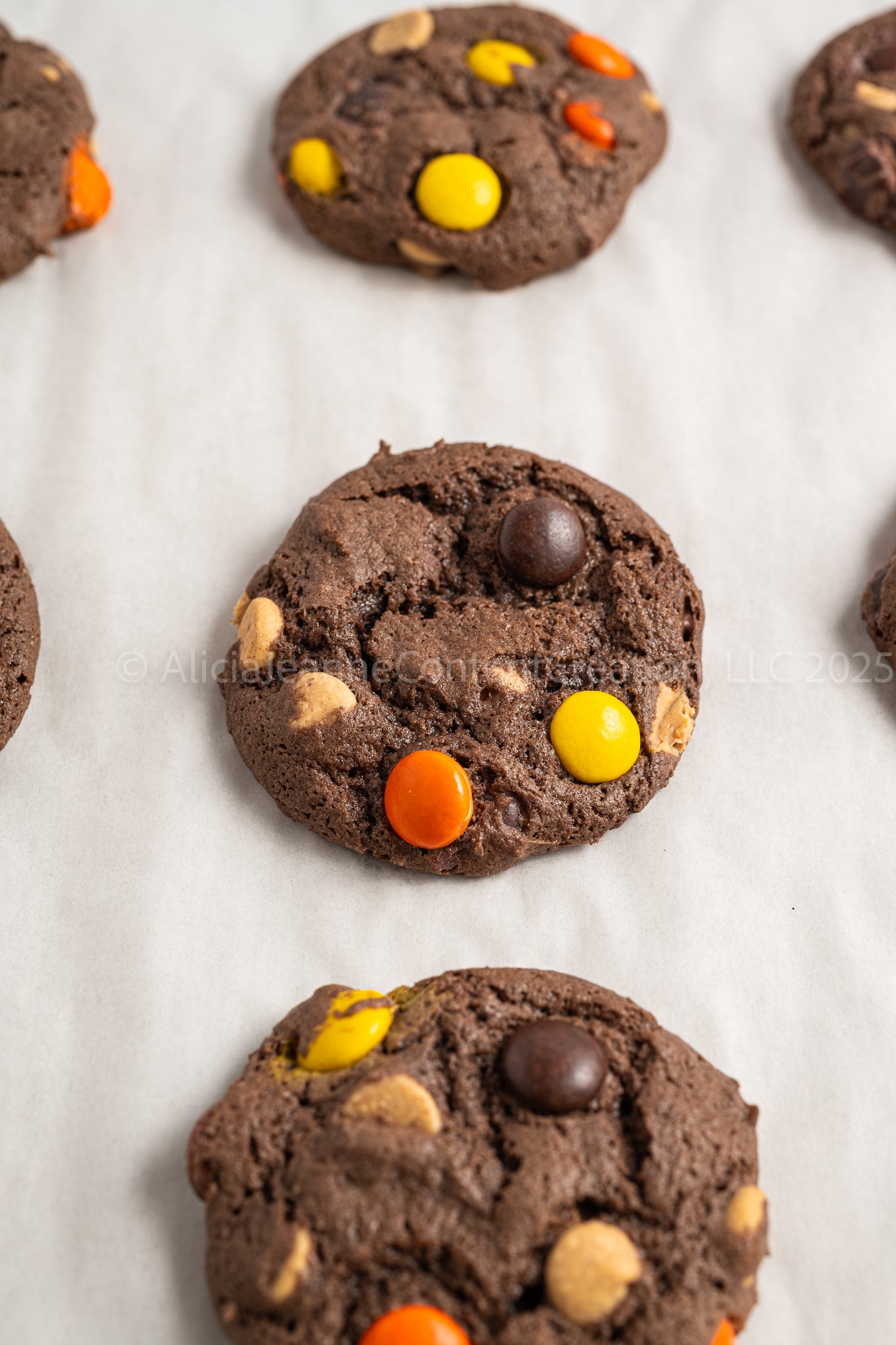 Reese's Pieces Cake Mix Cookies - *MINI EXCLUSIVE*